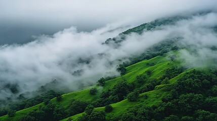 Obraz premium A green mountain covered in fog, with lush grass and trees on the slopes of the Indian mountains. 
