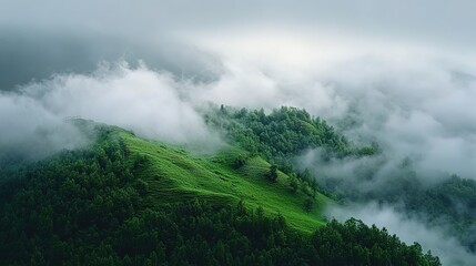 Fototapeta premium A green mountain covered in fog, with lush grass and trees on the slopes of the Indian mountains. 