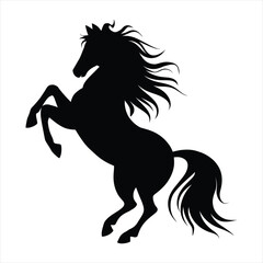 Beautiful horse silhouette isolated on white background