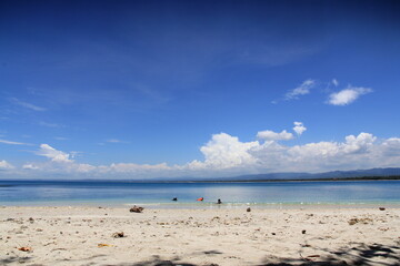 foreign ships sunk due to stealing fish in Indonesian territory