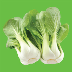 fresh green cabbage