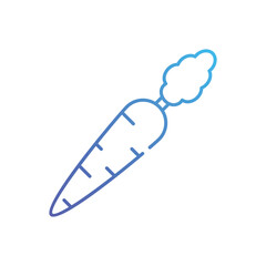 Radish vector icon