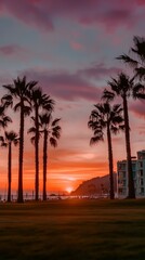 Tropical Sunset  Palm Trees  Ocean  and Coastal Hotel