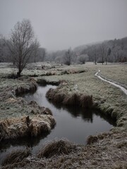 Rokytka river flowing through snowy landscape in prague 9, czechia Nature park Smetanka