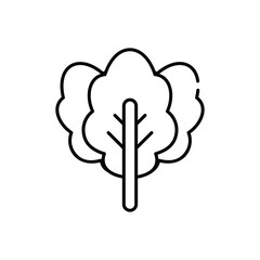 Kale vector icon
