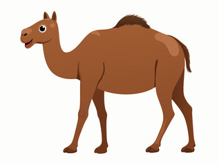 Camel Cartoon Illustration
