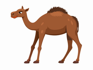 Camel Cartoon Illustration
