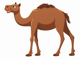 Camel Cartoon Illustration
