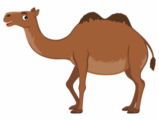 Camel Cartoon Illustration
