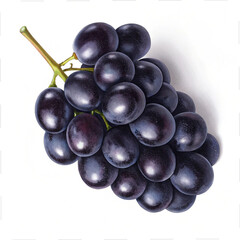 Fresh purple and navy blue grapes on white background