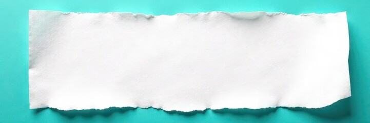 White sheet of paper with turquoise torn edges, detail shot, art, isolated, studio shot