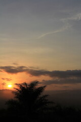 morning mist in the forest