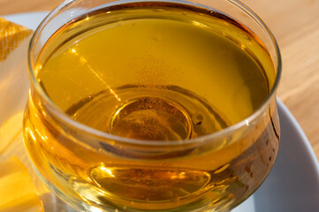 Tasting of french apple cider brut in glass made from new harvest apples outdoor in sunny orchard