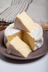 Cheese collection, French reblochon de savoie gratin cow milk cheese close up