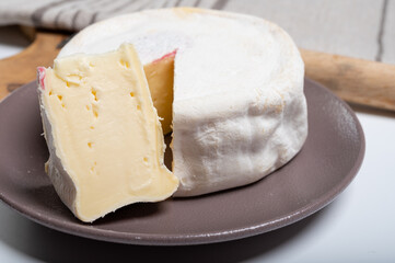 Cheese collection, French reblochon de savoie gratin cow milk cheese close up