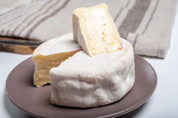 Cheese collection, French reblochon de savoie gratin cow milk cheese close up