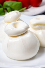 Cheese collection, fresh soft white burrata cheese ball made from mozzarella and cream from Apulia, Italy, close up