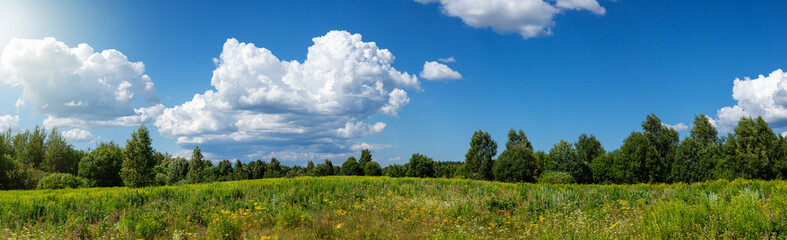 Summer panorama landscape with blue sky in soft white clouds over green field of grass. Beautiful natural countryside. Nature rural scene with copy space for design