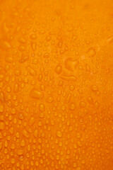 orange pumpkin wet in water close-up