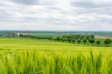 Picturesque Scenic Landscape in the Countryside with Lush Green Fields and Tree-Lined Road Under a Cloudy Sky