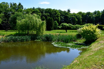Fototapeta premium A view of a beautiful, well-maintained garden full of decorative trees, shrubs, benches, old red brick walls, herbs, rocky paths and having a small pond with Lilly pads and reeds in the very center