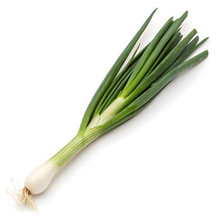 fresh green onion