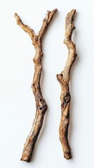 Fototapeta premium Two Rustic Branches - A Nature Inspired Still Life