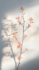 Delicate Branch with Warm Hues and Soft Shadows