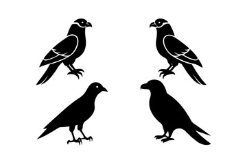 Obraz premium set of silhouettes of birds