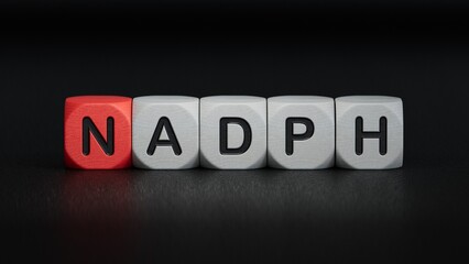 The word NADPH is written on wooden cubes. Medical concept.close up of wooden elements,Business Concept.3D rendering on black background.