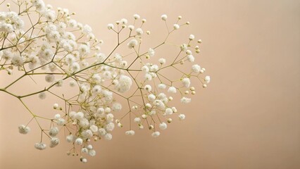 Delicate white flowers bloom on slender branches against a soft beige backdrop, a minimalist floral arrangement for a serene and understated aesthetic.