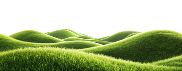 green grass field