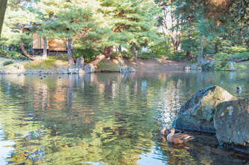 福島　御薬園の池（会津若松市）