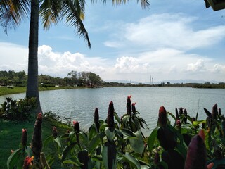 tropical island 