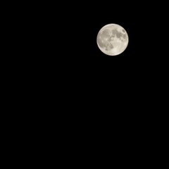 Obraz premium full moon in the night sky