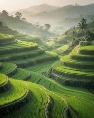 Serene Landscape of Rolling Hills with Lush Rice Terraces