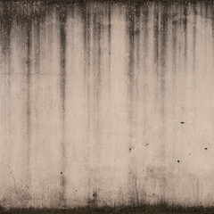 Weathered Plaster Wall Texture