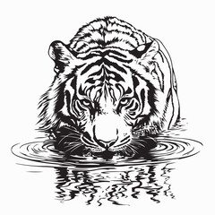 Tiger Drinking Water with Piercing Eyes in a Serene Jungle Vector Illustration
