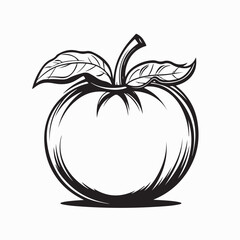 Tomato Vector Image. Black and white Tomato Vegetable Images vector isolated on white background.