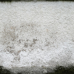 Obraz premium Weathered Plaster Wall Texture