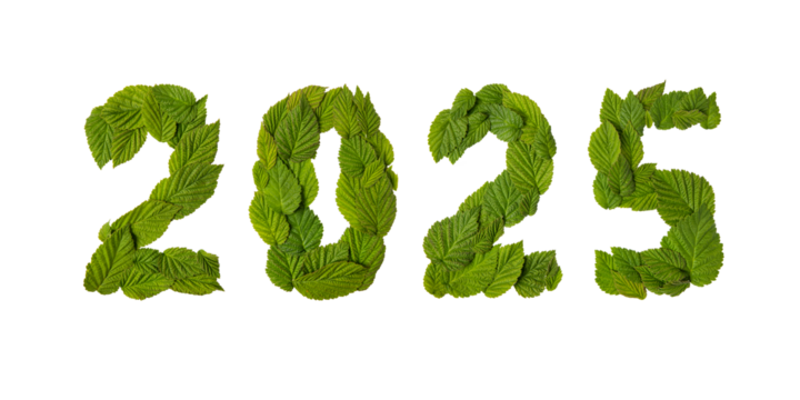Green leaves in the shape of numbers 2025 isolated on a transparent background. New Year 2025 save it earth environment and our planet. Earth day 2025 concept and green recycling