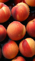 Close-up view of fresh, juicy peaches showcasing their fuzzy skin and droplets of water