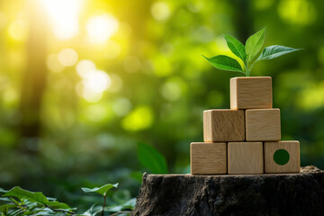 Building blocks with green leaves on tree stump symbolize growth and sustainability in nature. warm sunlight enhances serene forest atmosphere, creating peaceful scene