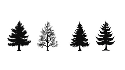 Silhouettes of evergreen trees displaying different shapes and branch configurations