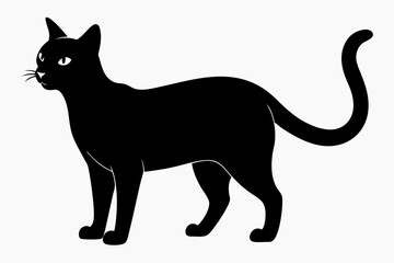 Cat Silhouette Black Vector
