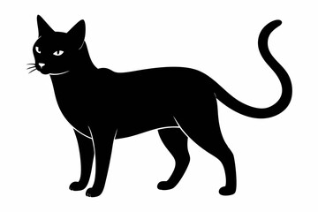 Cat Silhouette Black Vector