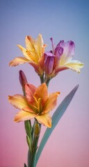 Naklejka premium Three orange and purple flowers in a vase on a table.