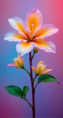 Naklejka premium A single pink and yellow flower with green leaves.