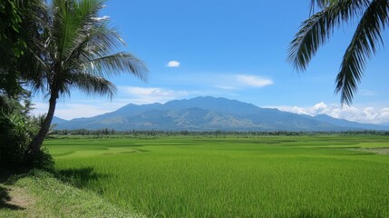 A beautiful green field with a palm tree in the foreground