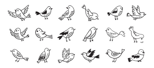 Bird doodle set. Birds hand drawn collection. Cute hand drawn bird doodles. Black on white drawing